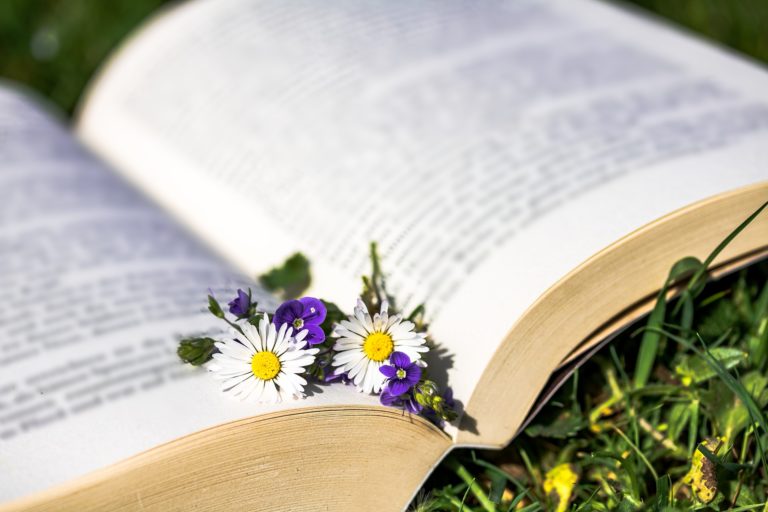 Photo d'un livre ouvert avec des fleurs dessus pour représenter les services en naturopathie